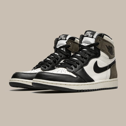 AccidentalFashionIcon_AirJordan1_Retro_Dark_Mocha_Pairs